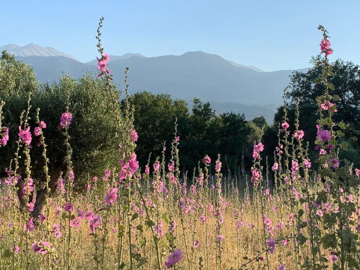 Villa Fatima Vryses Eksteriør billede